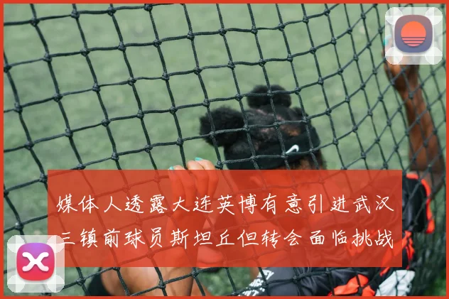 媒体人透露大连英博有意引进武汉三镇前球员斯坦丘但转会面临挑战